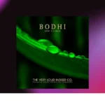 The Very Loud Indeed Co. – Bodhi Zen Chimes (KONTAKT)